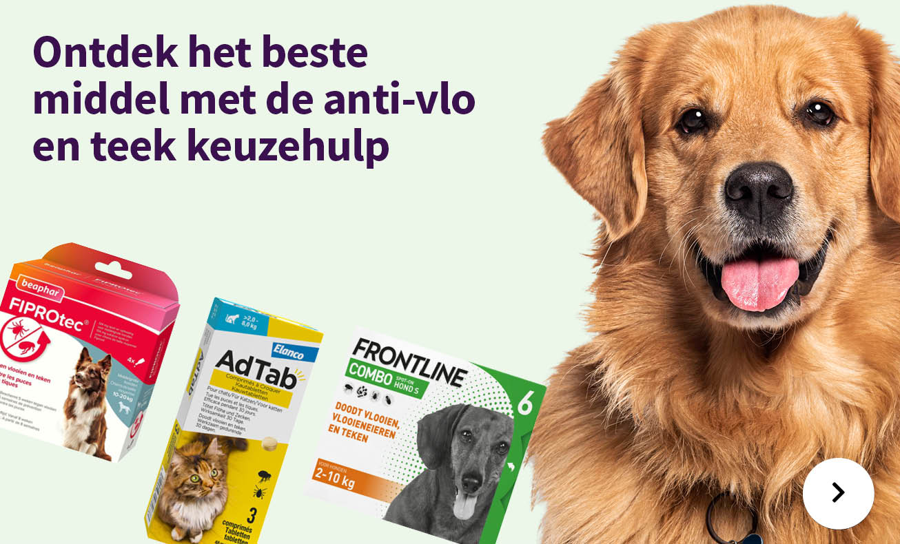 Bekijk 