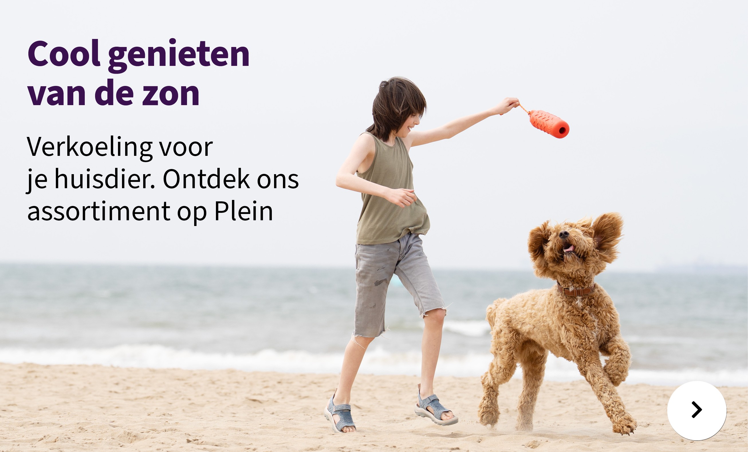 Actie categorie