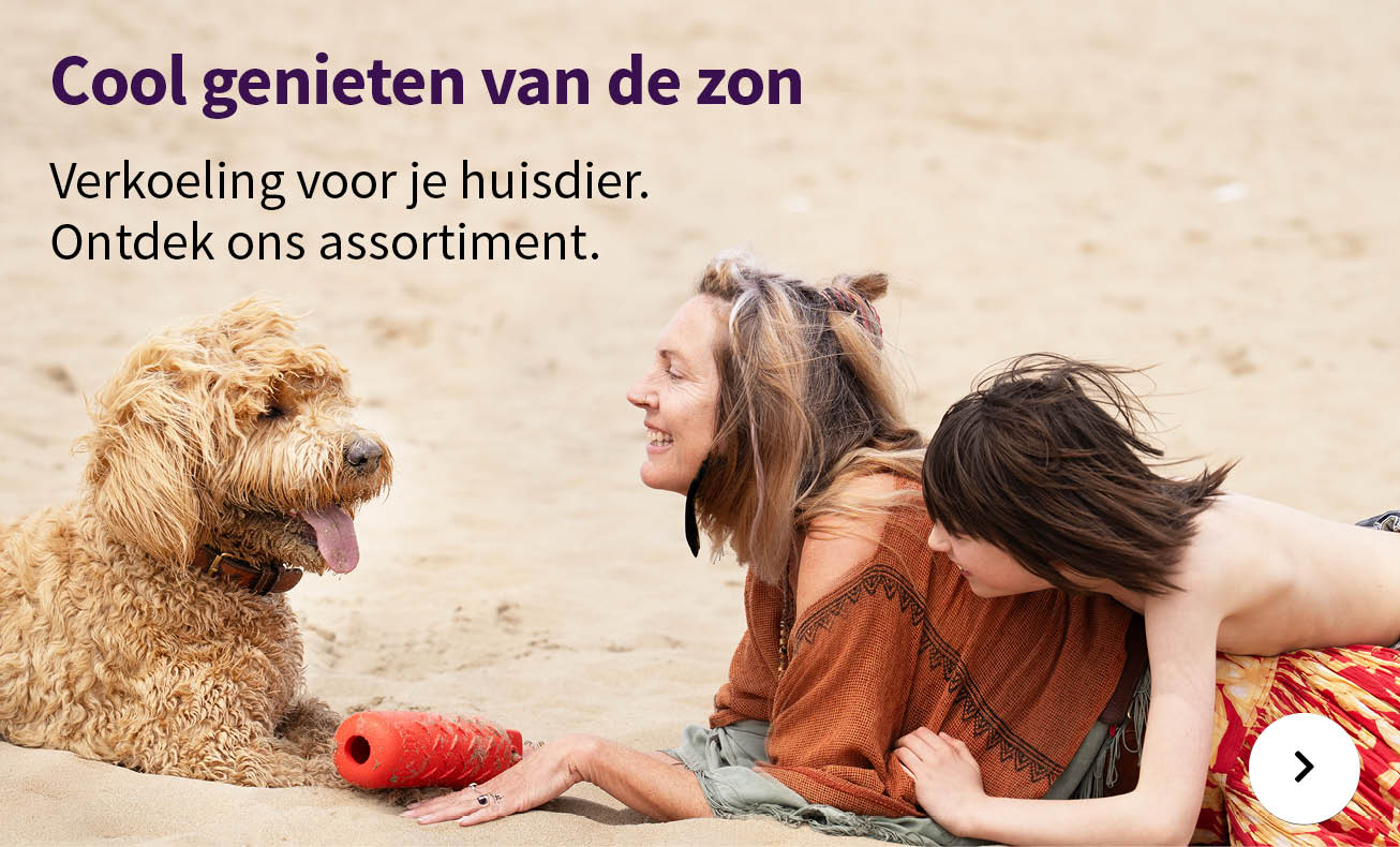 Actie categorie