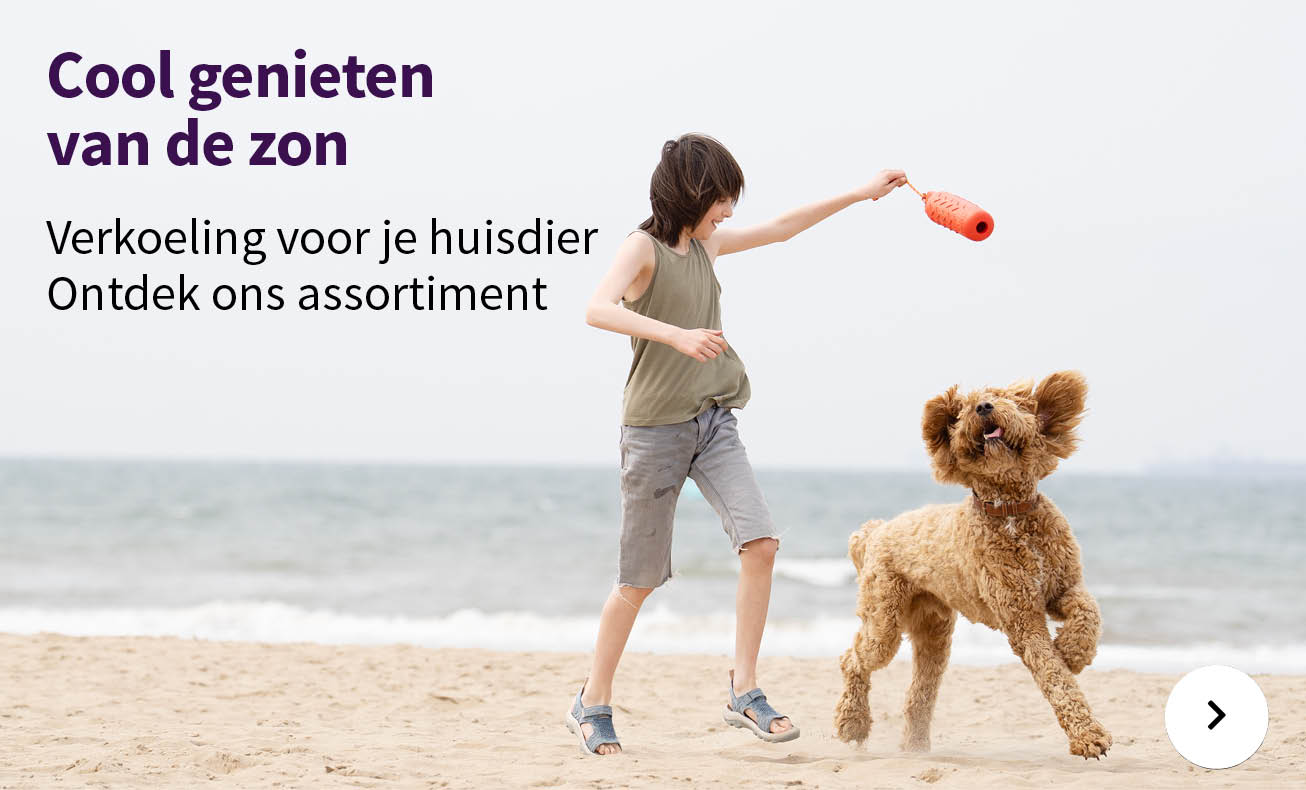 Actie categorie