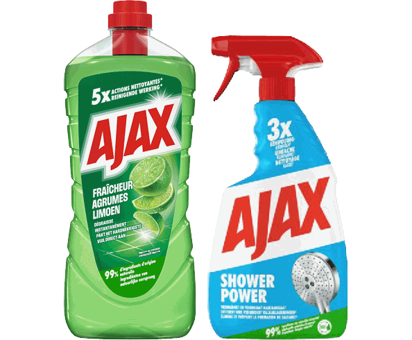 Schoonmaak