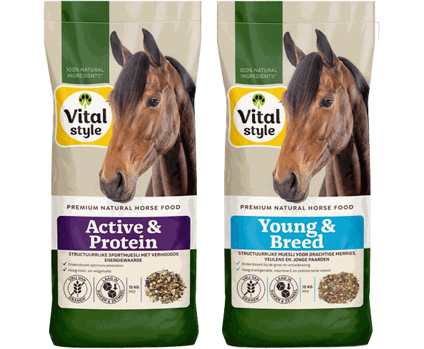 VITALstyle