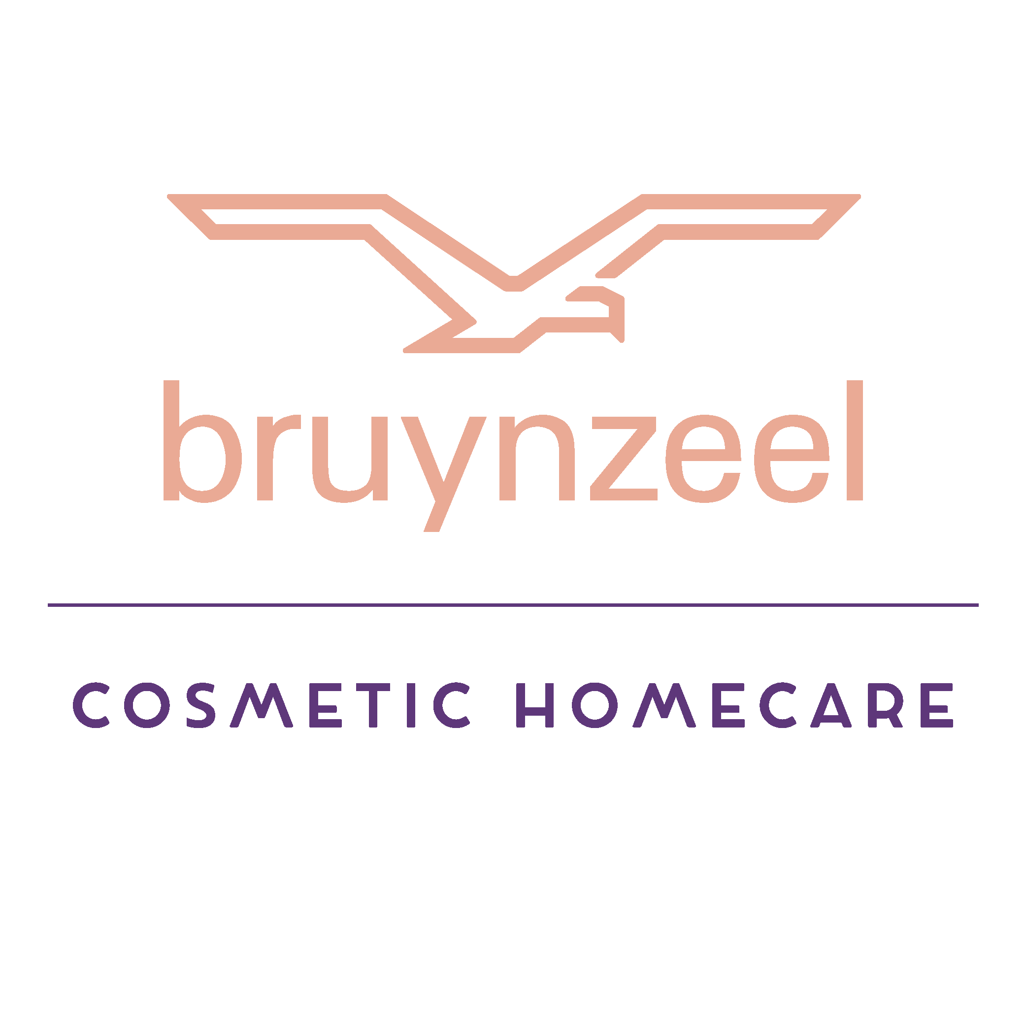 Bruynzeel Cosmetic Homecare logo