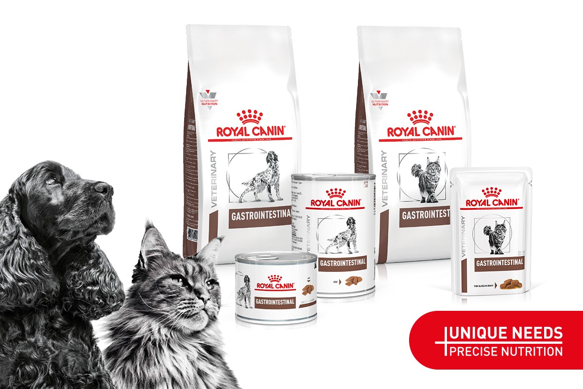 Royal Canin Gastrointestinal; voeding voor honden en katten met een gevoelige spijsvertering