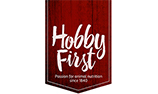 Hobby First logo