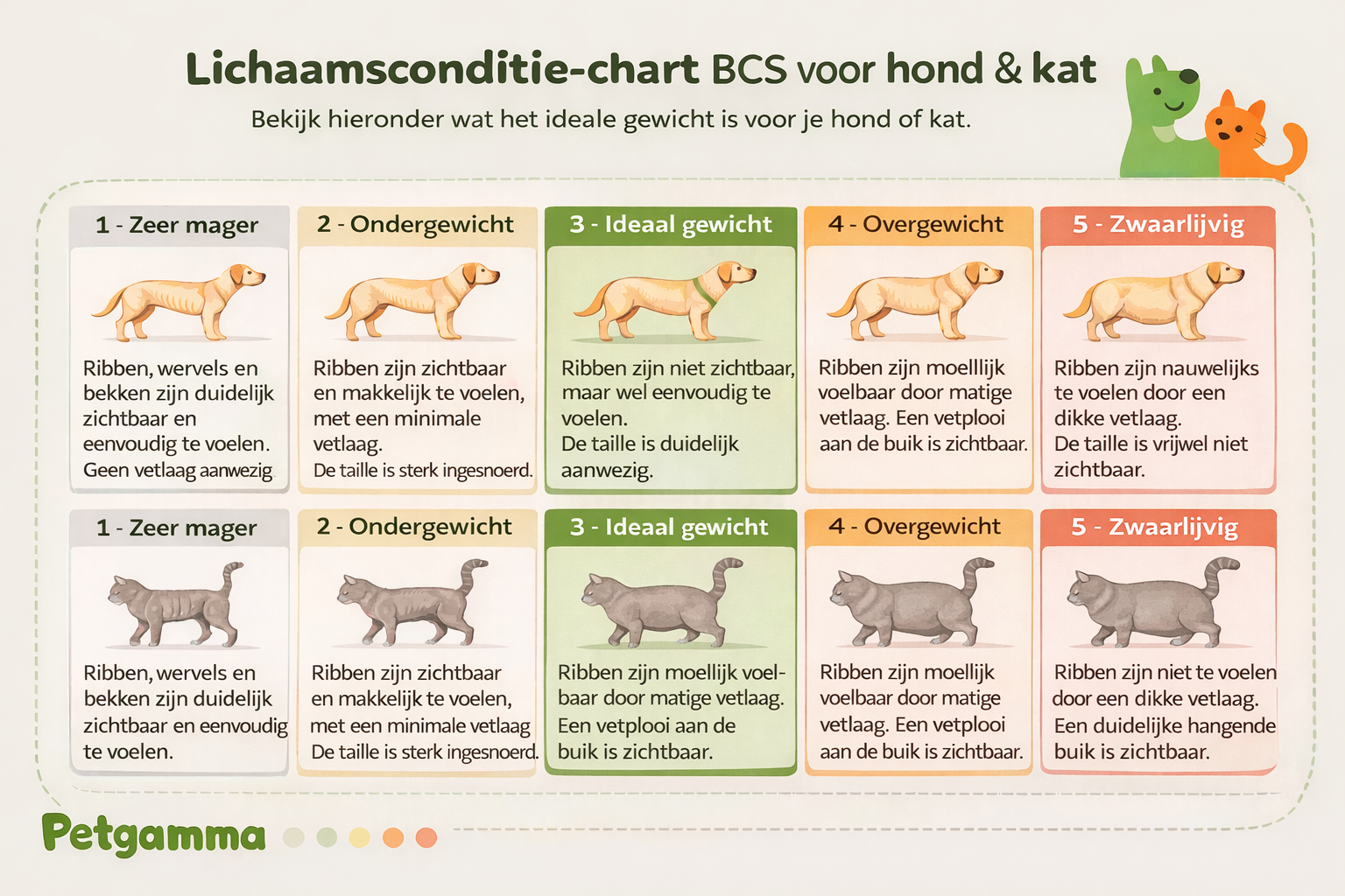 Lichaamsconditie chart (BCS)