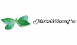 Marval en Vincent logo