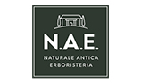 N.A.E. logo
