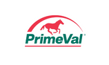 PrimeVal logo