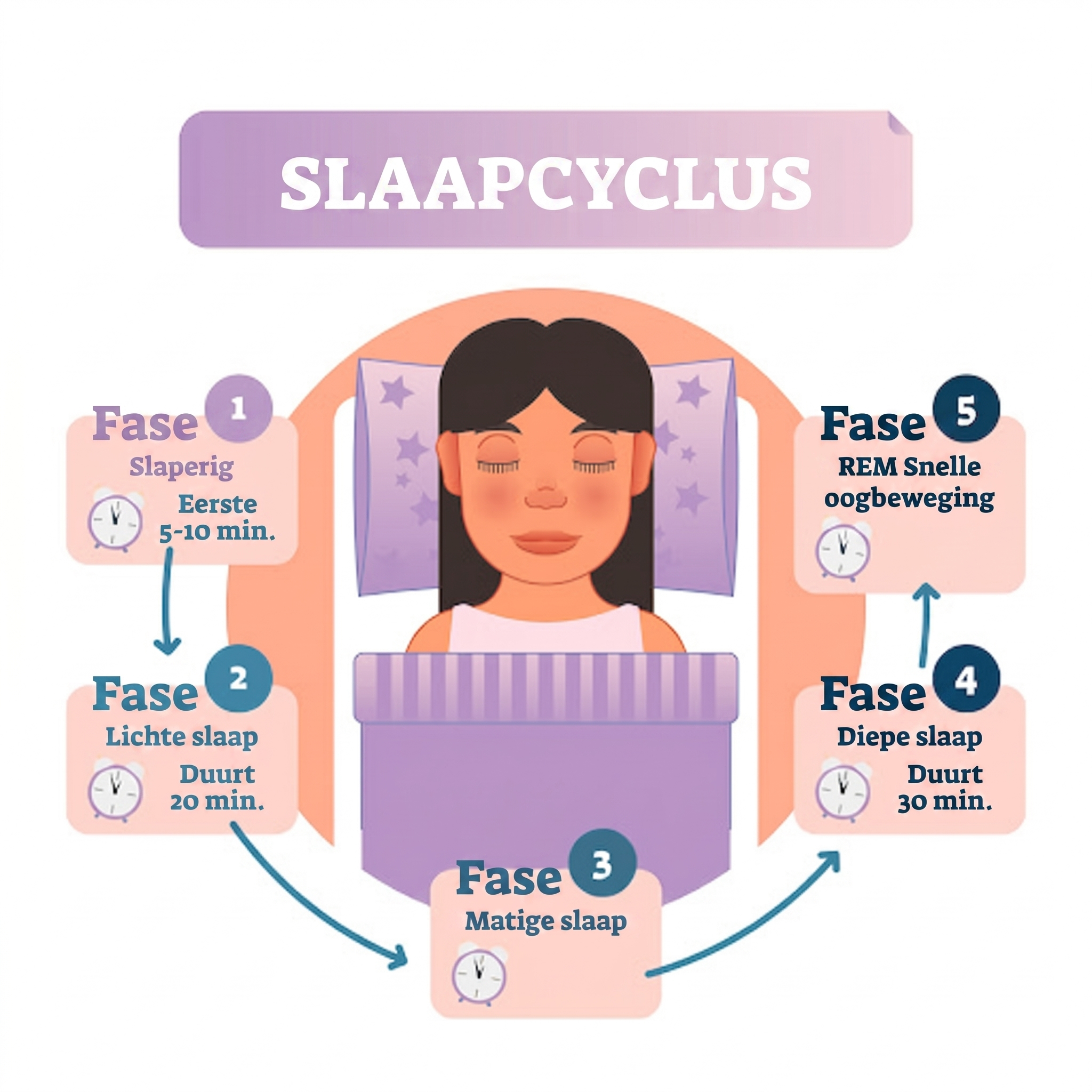 slaapcyclus