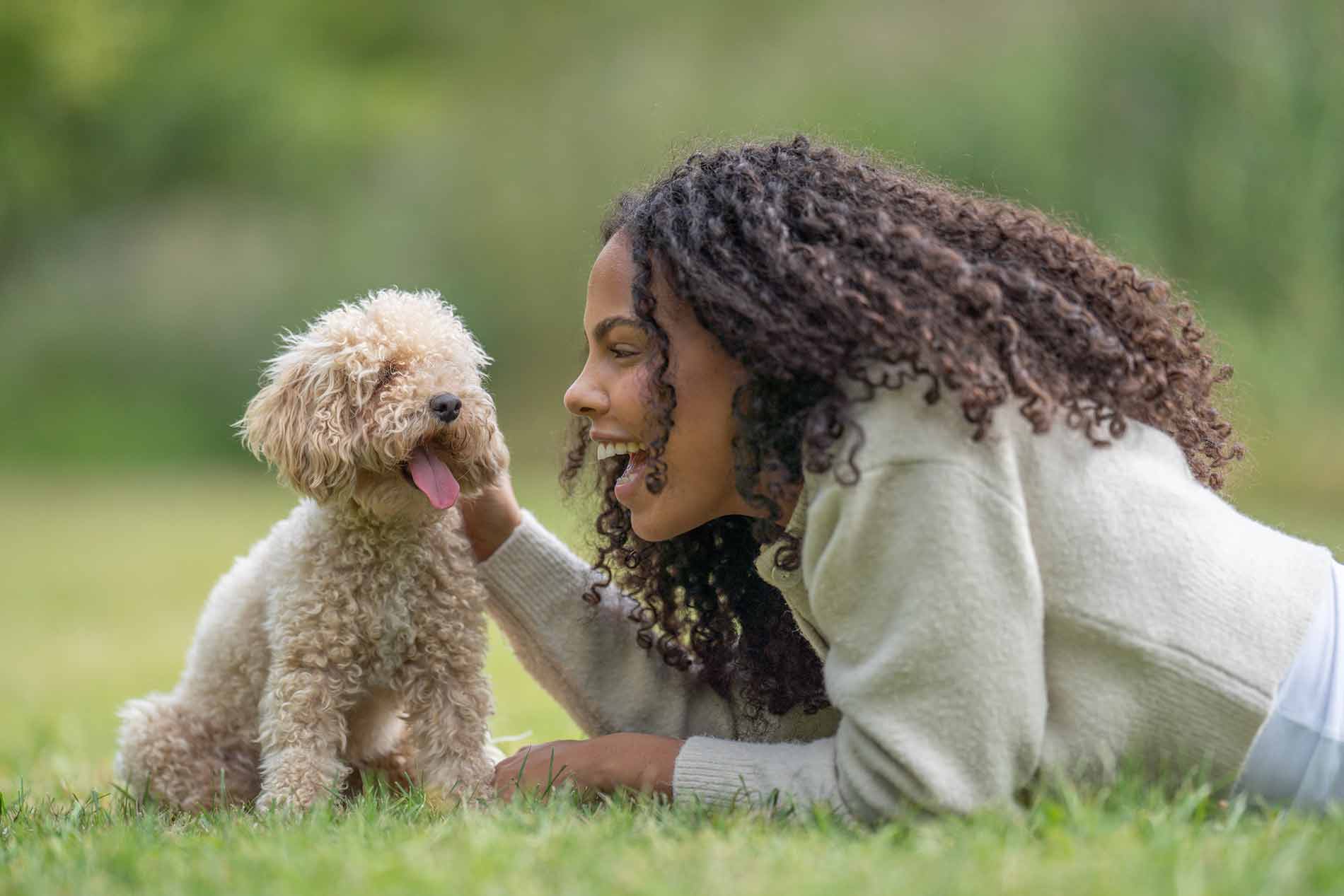 Jeuk bij je hond of kat? Zo ontdek je de oorzaak en help je jouw dier