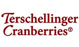 Terschellinger logo