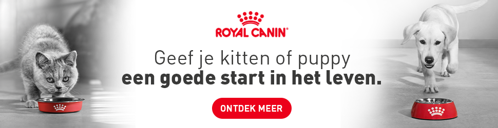 Royal Canin Start of Life bij Petgamma: voeding voor puppy’s, kittens en moederdieren