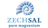 Zechsal logo