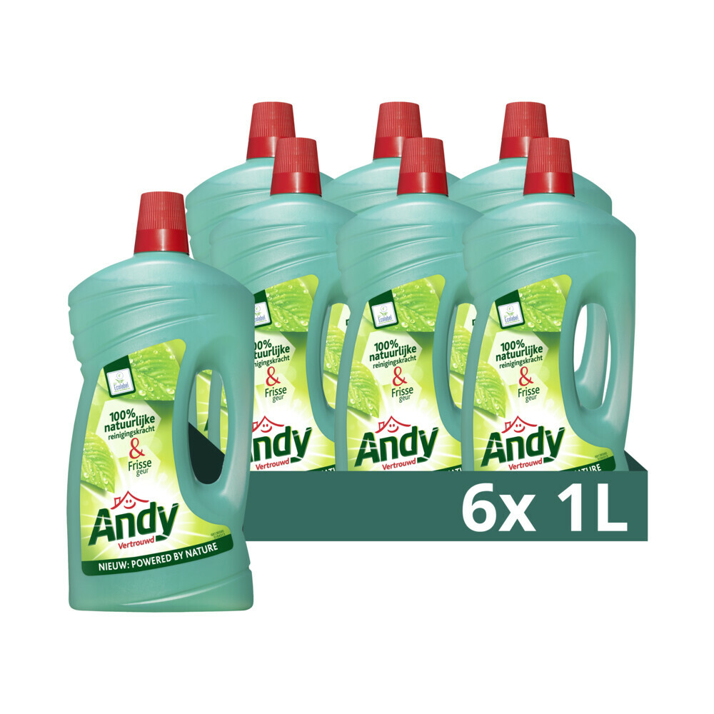 6x Andy Allesreiniger Vertrouwd 1000 ml