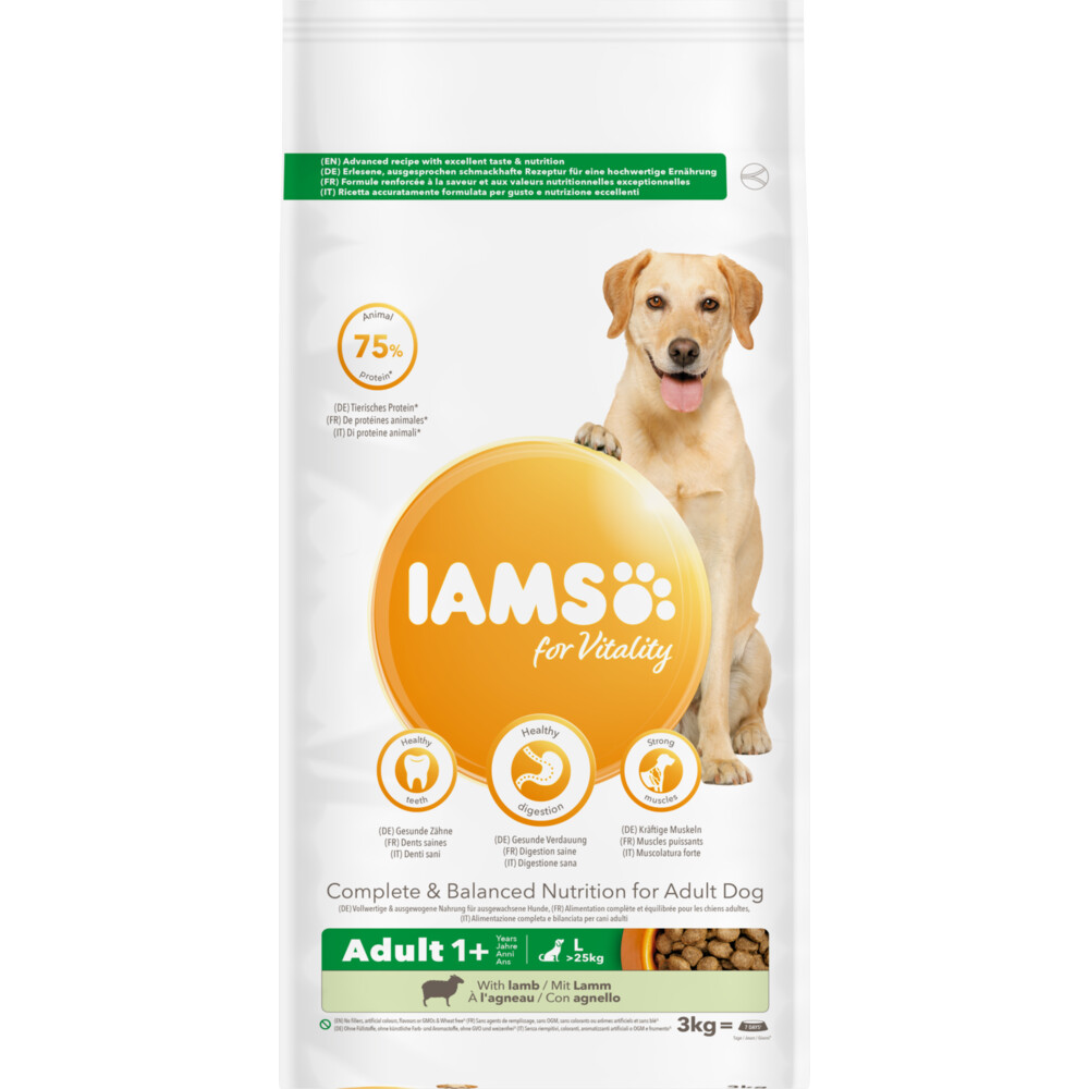IAMS Dog Adult Large Breed Lamb 3 kg