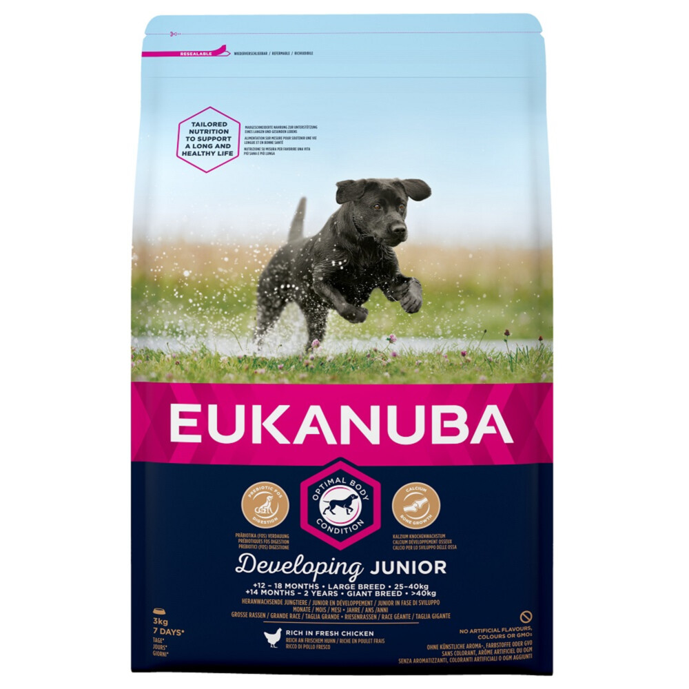 Eukanuba Dog Developing Junior Large Breed 3 kg