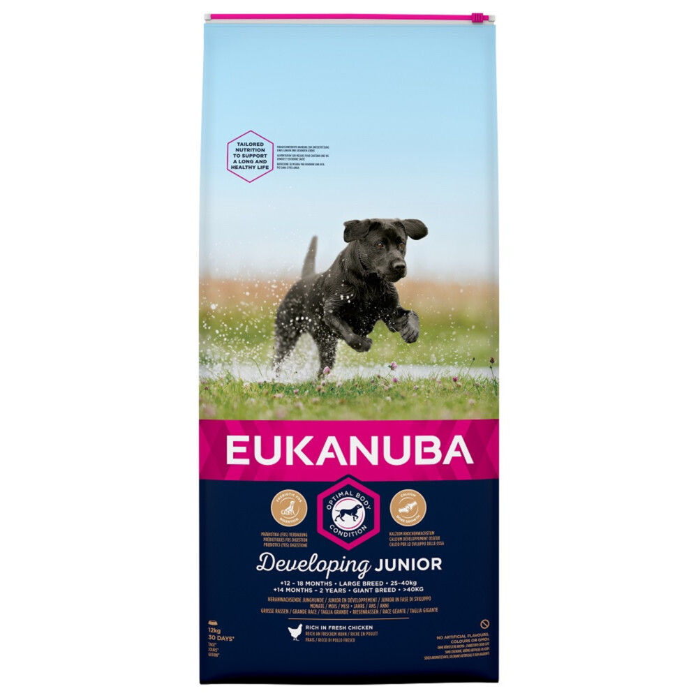 Eukanuba dog developingjunior large breed chicken