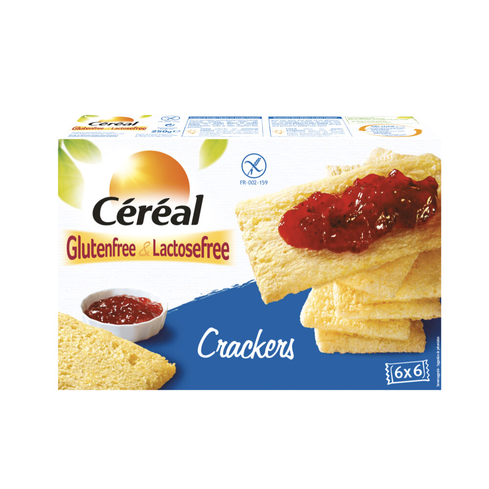 Staren elleboog speer Céréal Crackers Glutenvrij En Lactosevrij 250 gr | Plein.nl