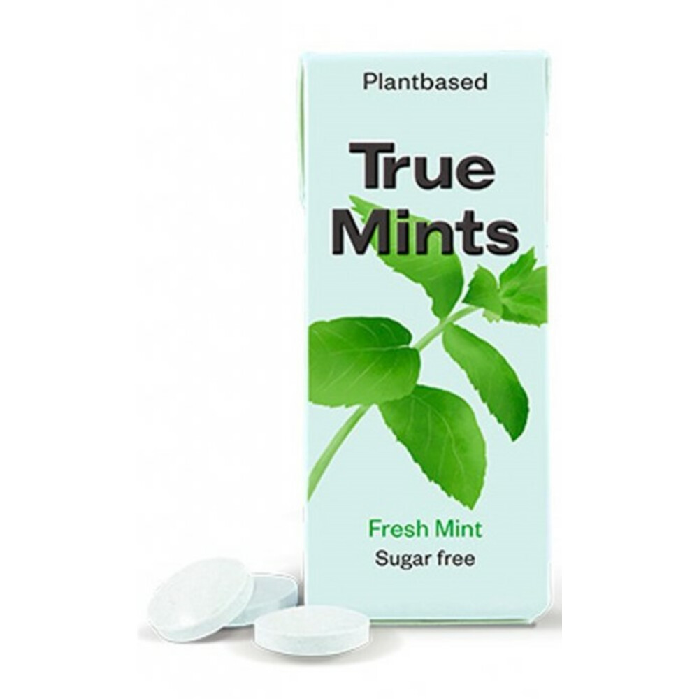 True Gum Fresh Mint Sugarfree 13 gr