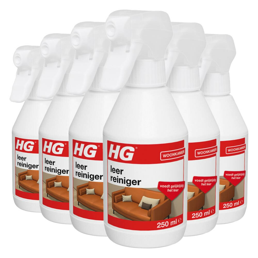 6x HG Leerreiniger 300 ml