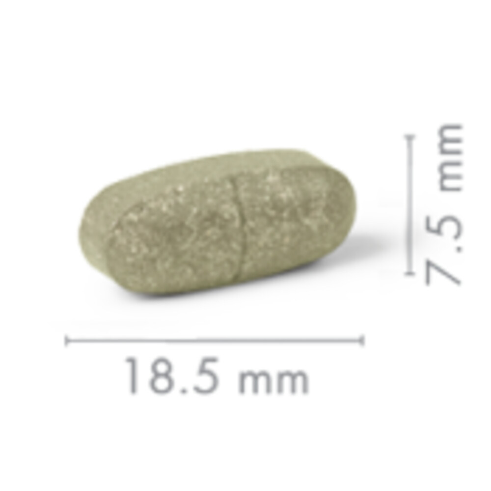 New Nordic Fatburner 60 tabletten Plein.nl