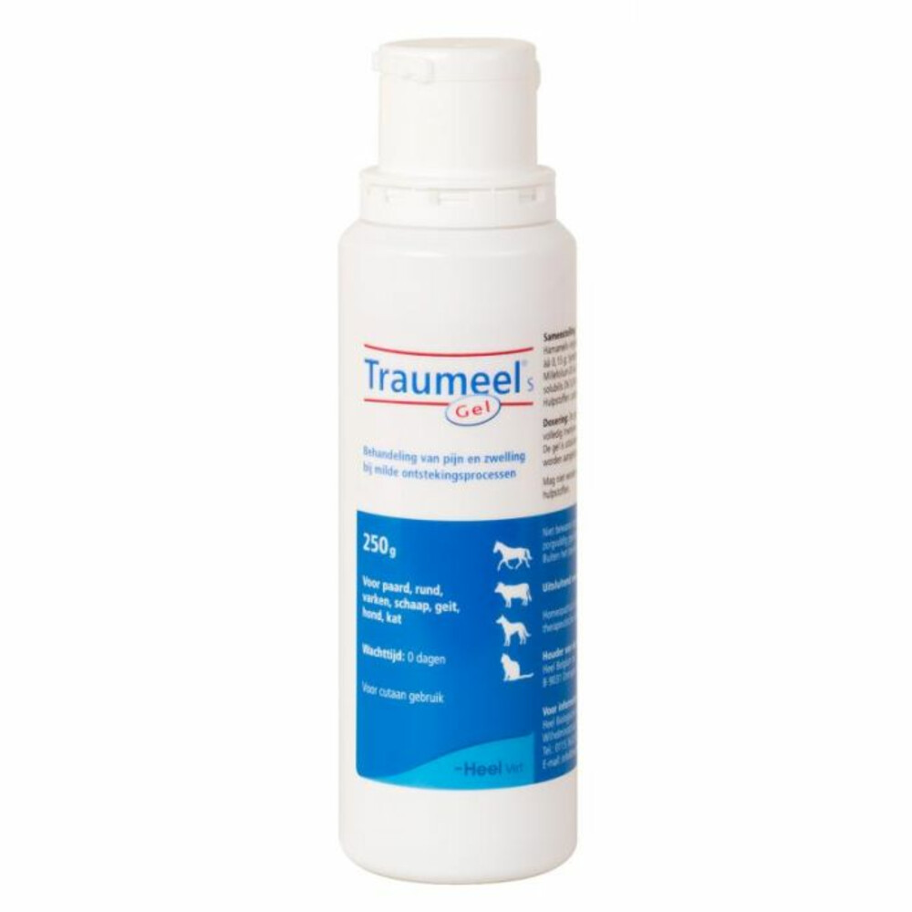 Heel Traumeel S Veterinair Gel 250 gr