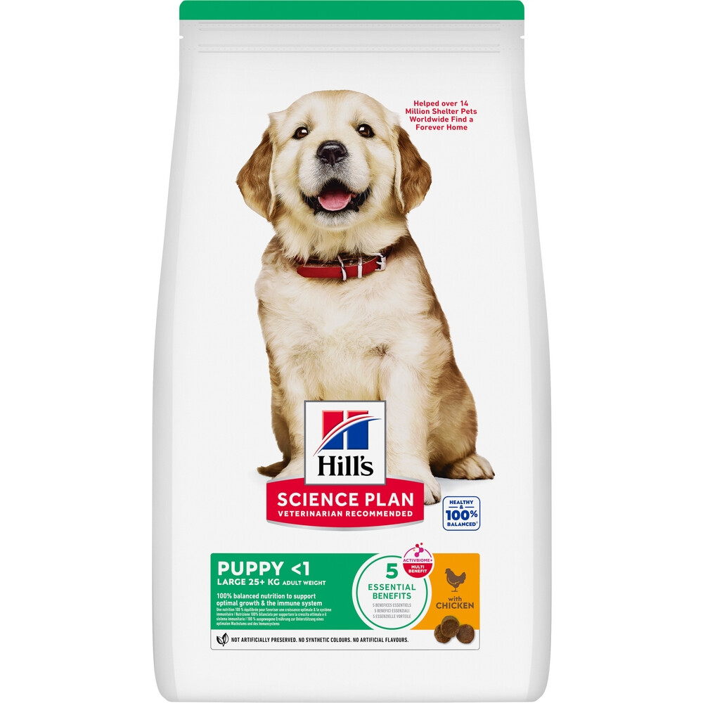 Hill's Science Plan Hondenvoer Droog Puppy Large Kip 16 kg