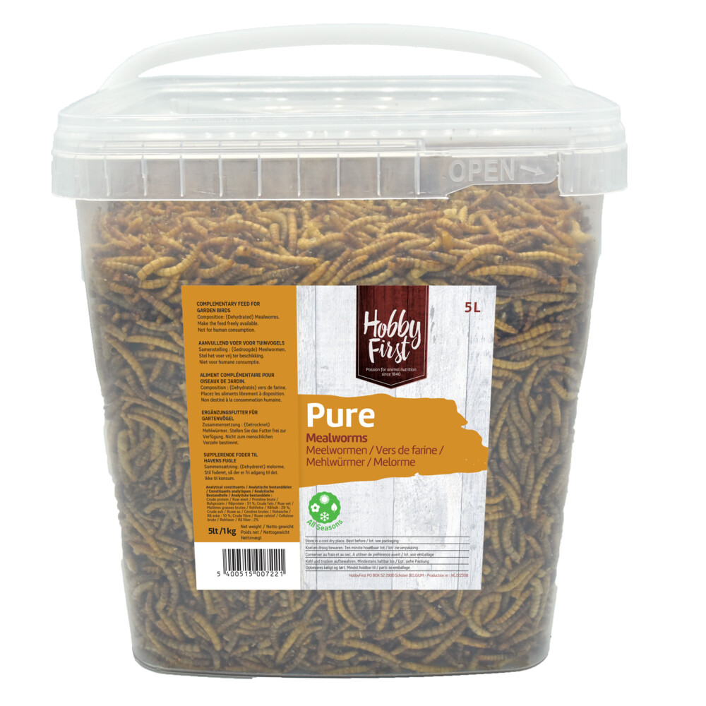 HobbyFirst Meelwormen 1 kg