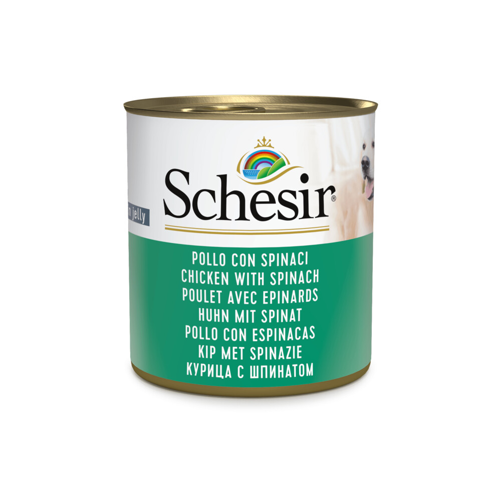 Schesir Hond adult 285 gram kip & spinazie
