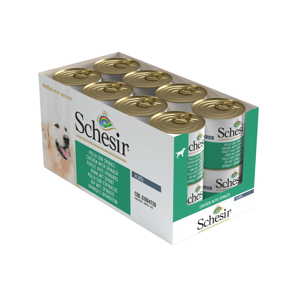 16x Schesir Hondenvoer Kip Spinazie in Gelei 285 gr