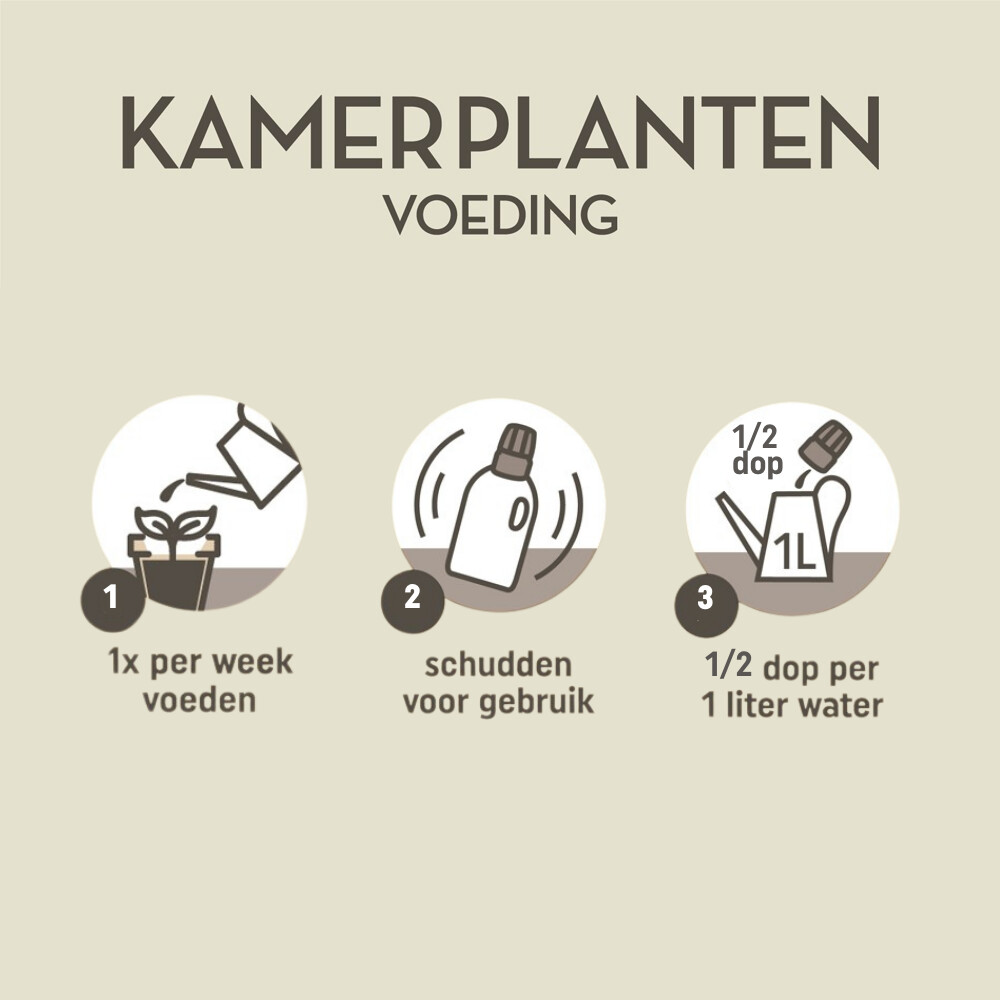 Pokon Plantenvoeding Kamerplanten 500 ml, foto 4