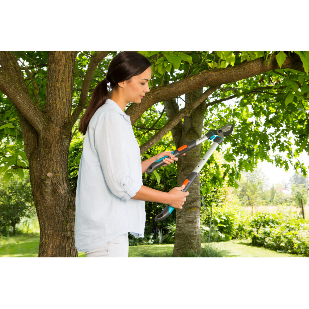 Gardena Astschere TeleCut Pro S Teleskopierbar für Frisches Holz kaufen