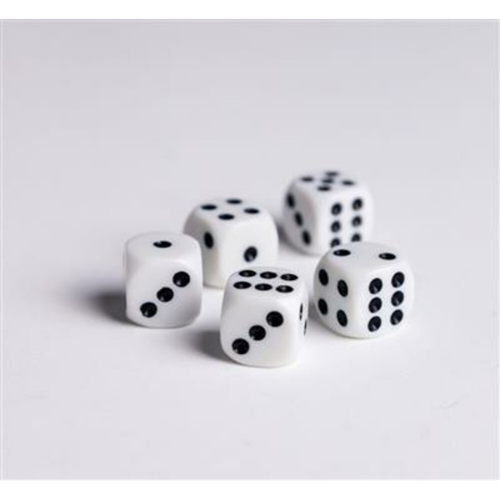 Blanco dobbelsteen met insteekhoes