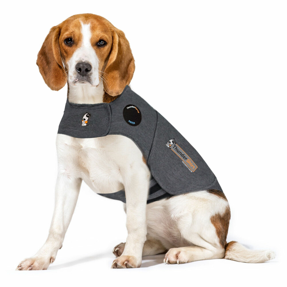 Thundershirt Hond Small>6 - 11 kg 1 Stuk