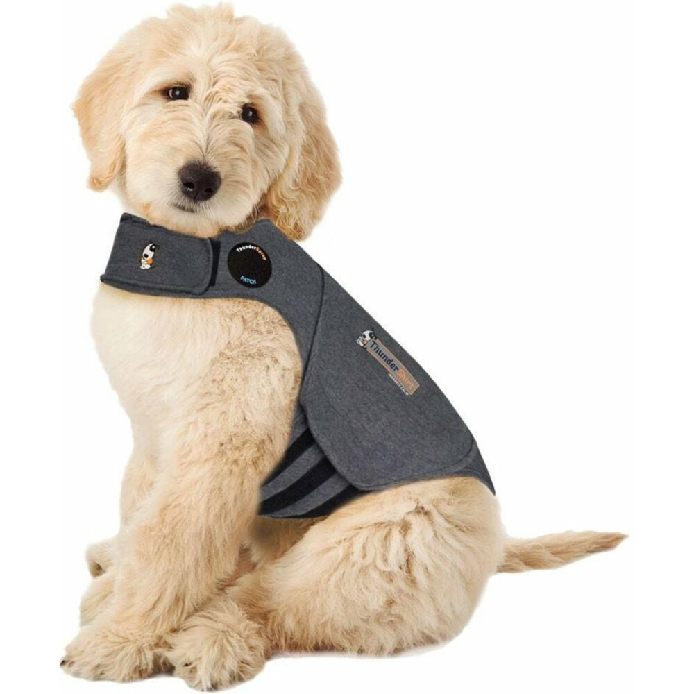 Thundershirt Hond Large>18 - 29 kg