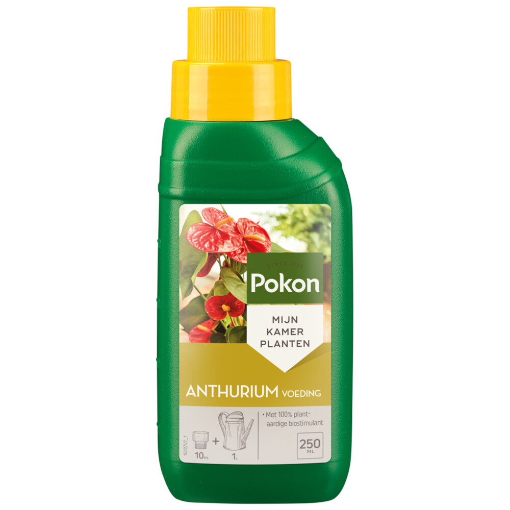 Pokon anthurium voeding 250 ml