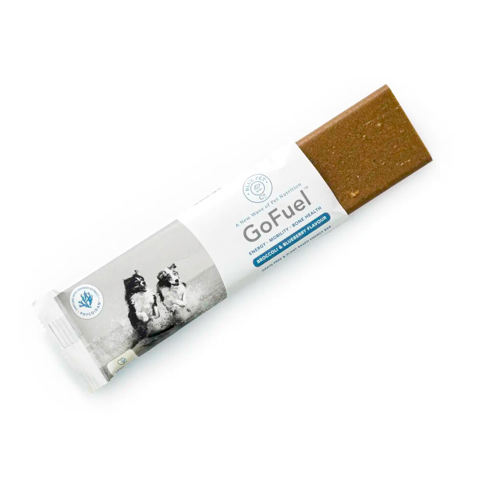 24x Blue Pet Co GoFuel Energy Bar Pumpkin 50 gr