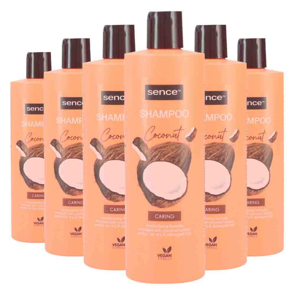 6x Sence Shampoo Coconut 400 ml
