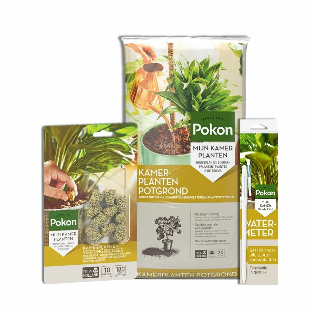 Pokon Kamerplanten Oppot Pakket