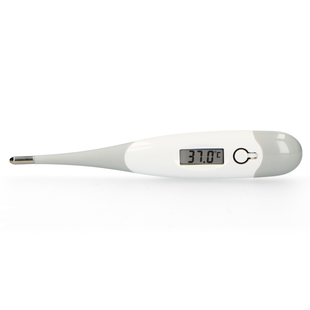 Alecto Bc-19gs Digitale Thermometer, Grijs