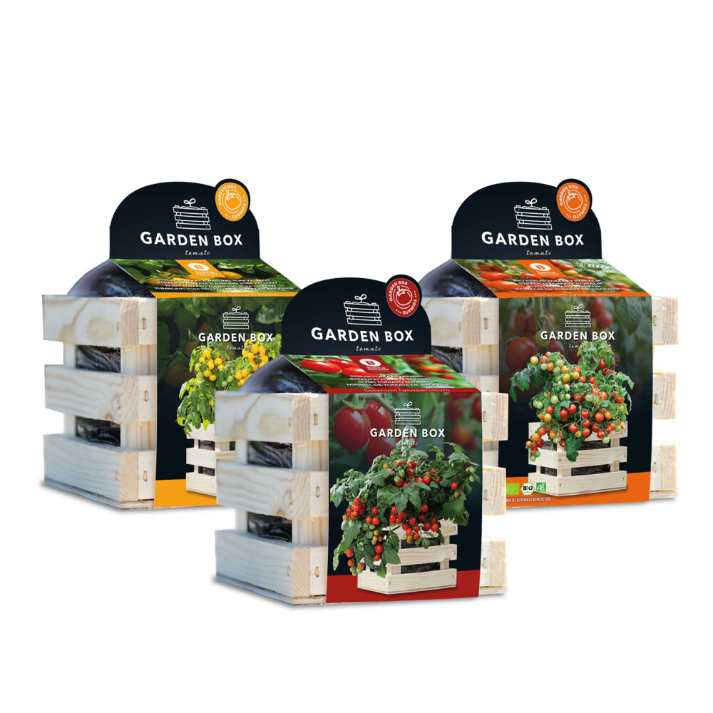 Baza Gardenbox Set Tomaten 1 set