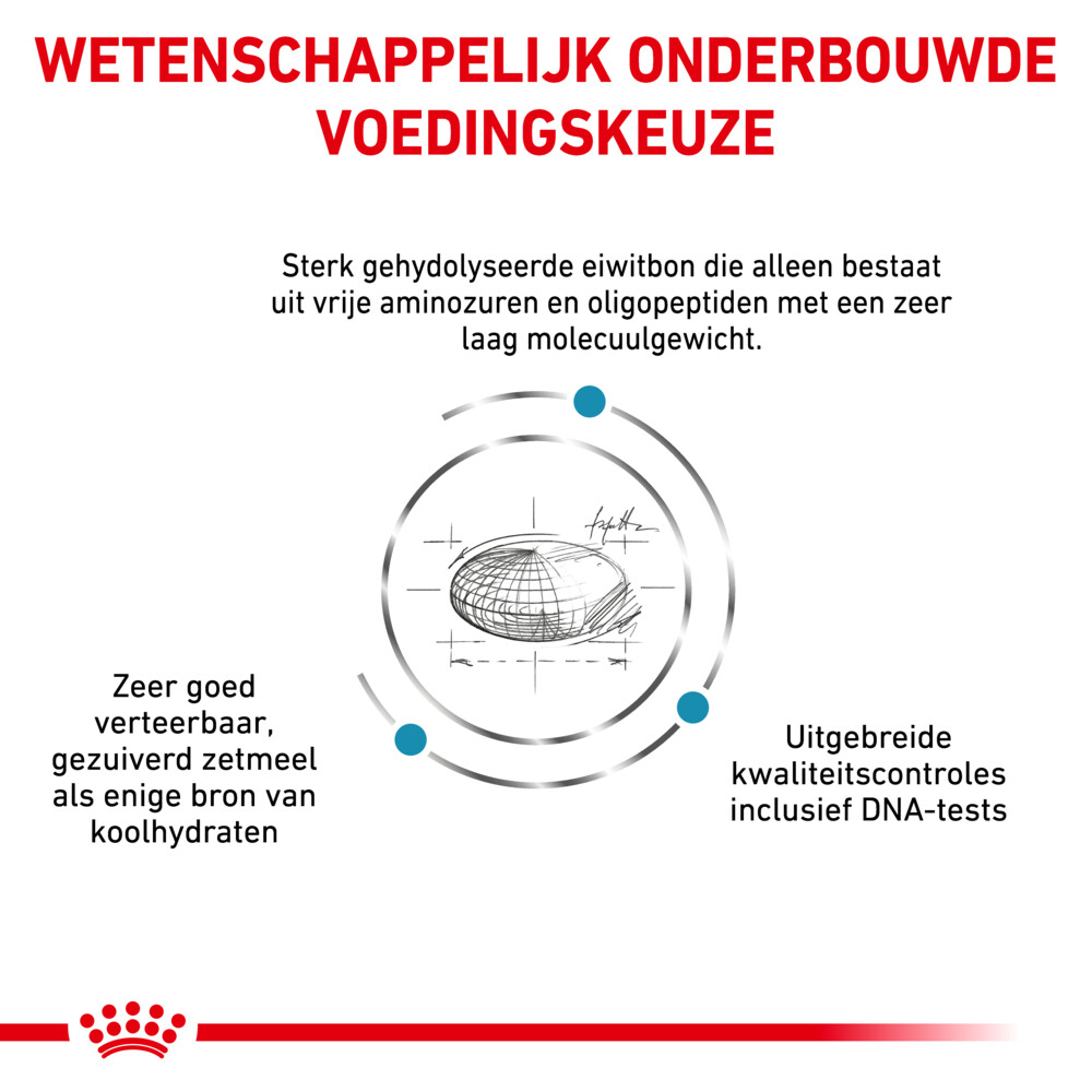 Royal Canin Anallergenic Small Dogs Hondenvoer