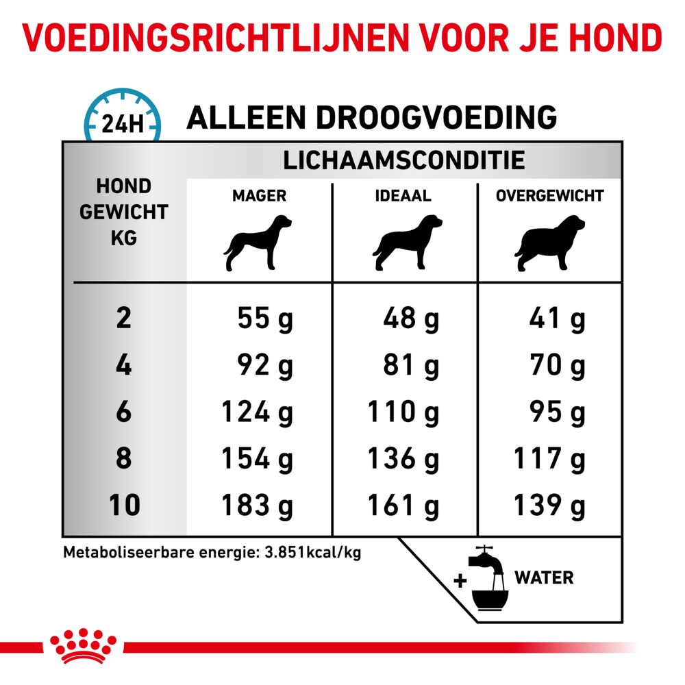 Royal Canin Anallergenic Small Dogs Hondenvoer