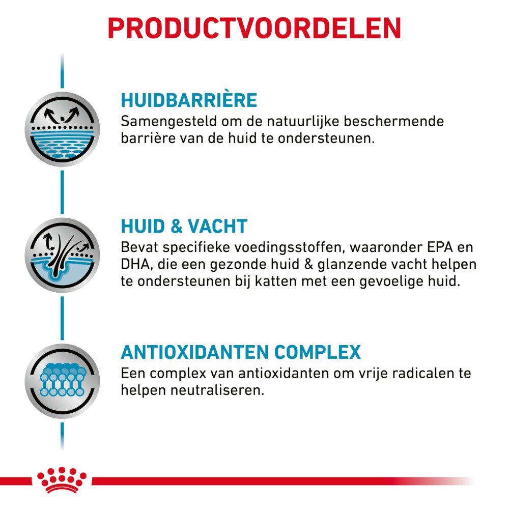 12x Royal Canin Skin & Coat Kattenvoer Nat