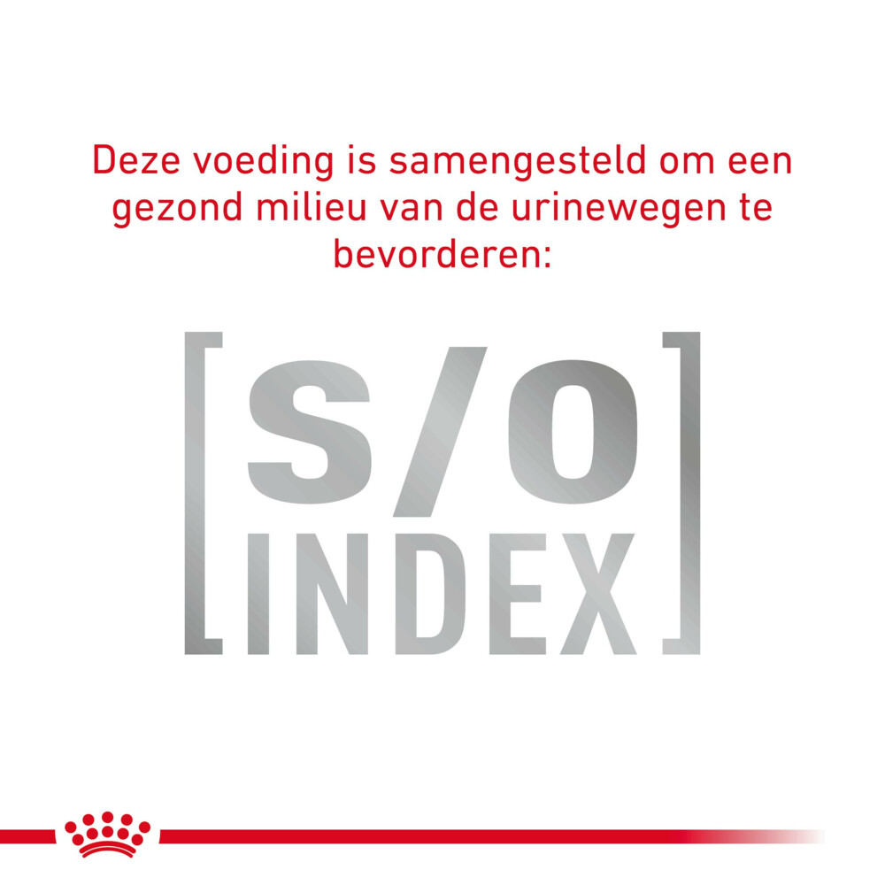 12x Royal Canin Skin & Coat Kattenvoer Nat