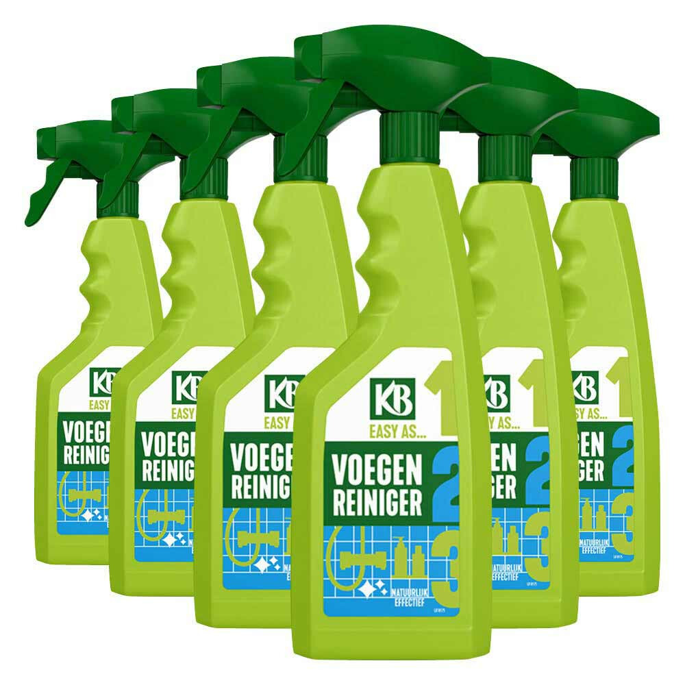 6x KB Easy Voegenreiniger Spray 500 ml