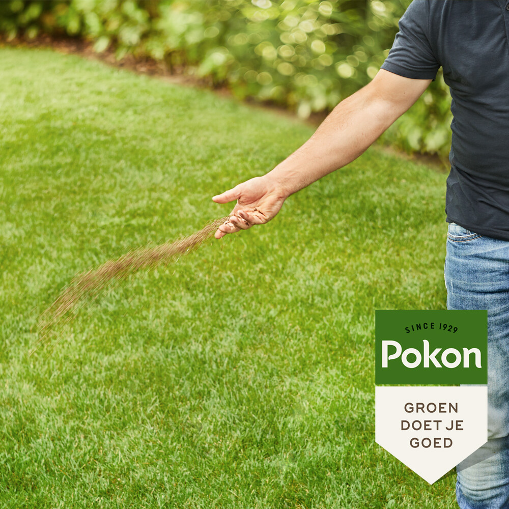 Pokon bio gazonmest voor een gezond gazon van 30 m2