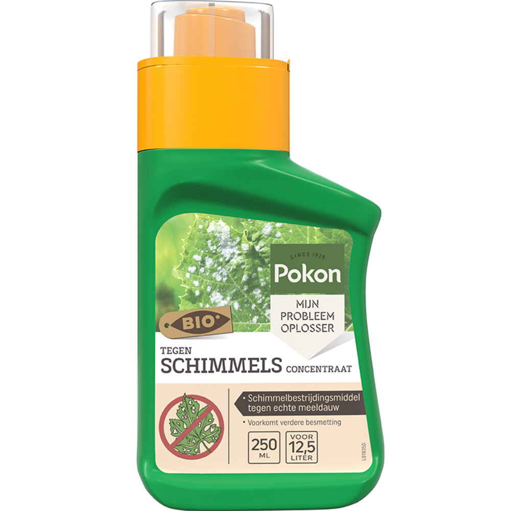 Pokon Tegen Schimmels Concentraat 250 Ml