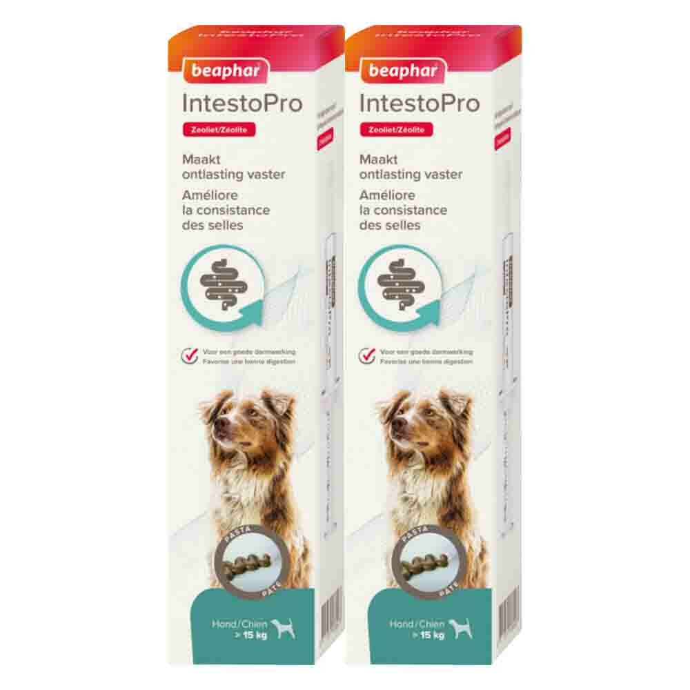 2x Beaphar IntestoPro Pasta Hond vanaf 15 kg 20 ml
